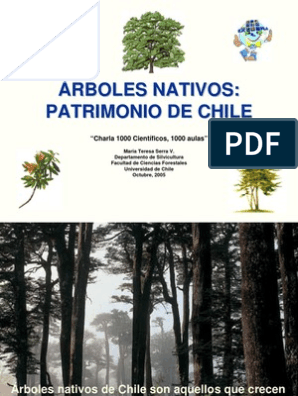 Arboles Nativos | PDF | Plantas de jardín | Chile
