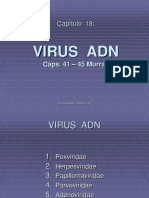 Virus Adn Med