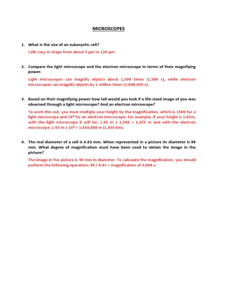 Microscopes Answer Key PDF