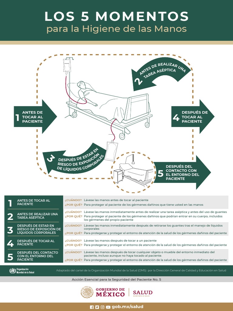 5 Momentos para la Higiene de Manos | PDF | Lavado de manos | Ciencias ...