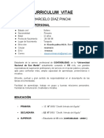 Curriculum Vitaeee Marcelo Diaz Pinchi..