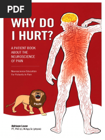 Why Do I Hurt - A Patient Book About The Neuroscience of Pain - Louw'13