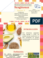 Oleaginosas UNAM: Propiedades, cultivo y usos de los principales alimentos oleaginosos
