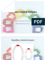 Maxillary Central Incisors