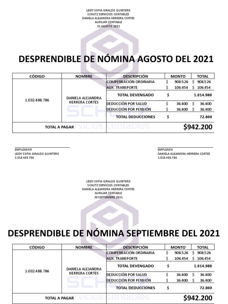 Desprendibles de Nómina 2021: Auxiliar Contable | PDF