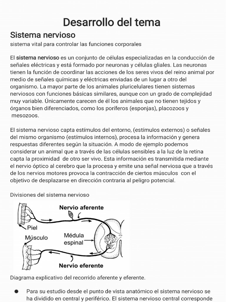 Sistema Nerviosociencias - 220823 - 002511 | PDF