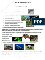 Especialidad de Reptiles