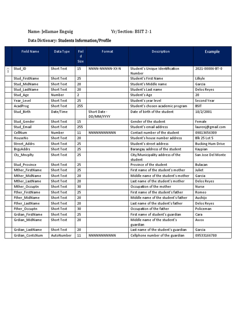 Data Dictionary | PDF