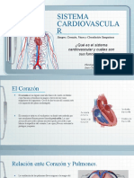 Exposicion Sist. Cardiovascular Completa