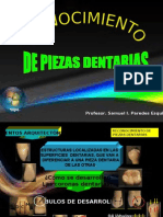 Reconocimiento Pzas Dents. 2010 II