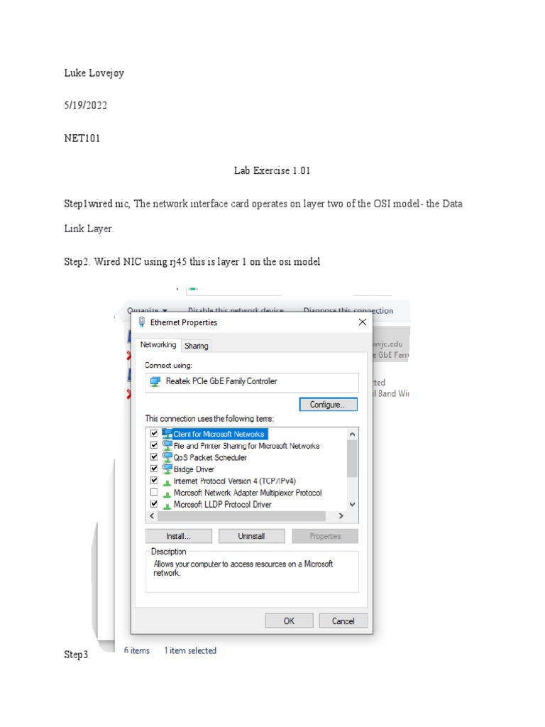 Lab 1.01 Net101 | PDF