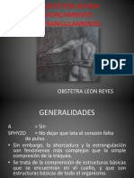 Muerte Por Asfixia Ahorcamiento o Estrangulamiento, León Reyes