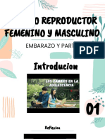 Aparato Reproductor Femenino y Masculino