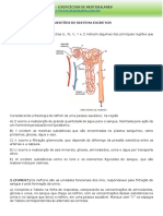 Exercícios de vestibulares sobre o sistema excretor