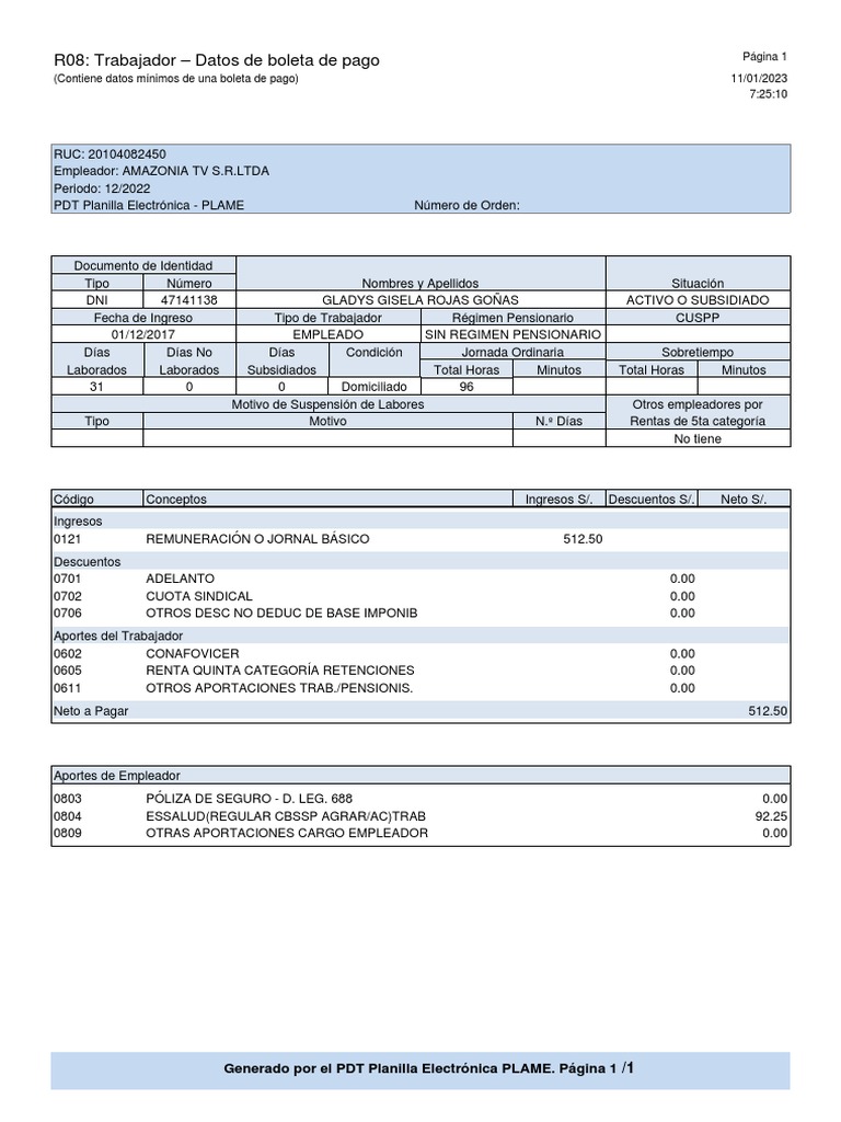 Datos de Boleta de Pago R08 Trabajador | PDF