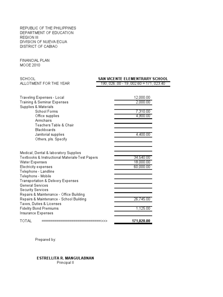 San Vicente Elementary School Financial Plan | PDF | Business