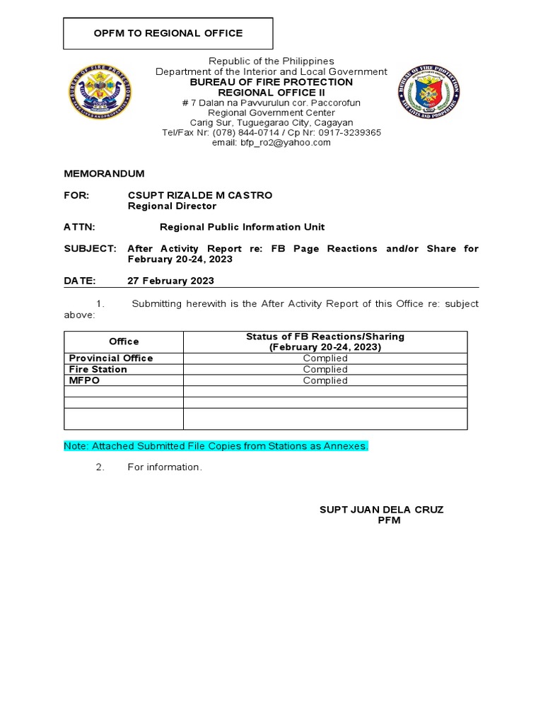 After Activity Report Sample BFP PDF