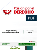 Programación y Formulación de Procesos PDF Gratis