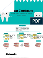 Planos Terminales