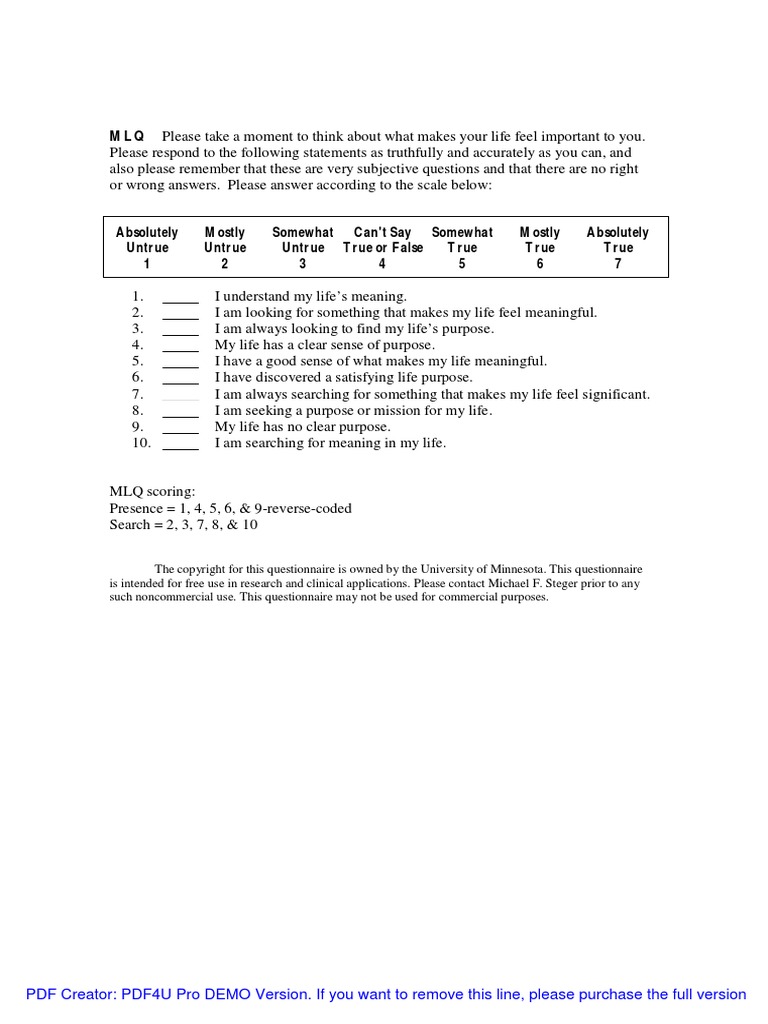 Meaning Of Life Questionnaire PDF