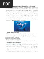 Qué Es La Reproducción en Los Animales