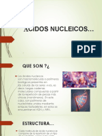 Acidos Nucleicos