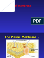 Gateway to the Cell Membrane