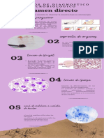 Tarea N°3 Practica Micro. V.