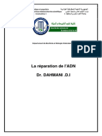 La Réparation de l'ADN-Dahmani Ines