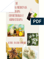 Ebook+sobre+PLantas+Medicinais+(FITO+e+AROMA)+(4)