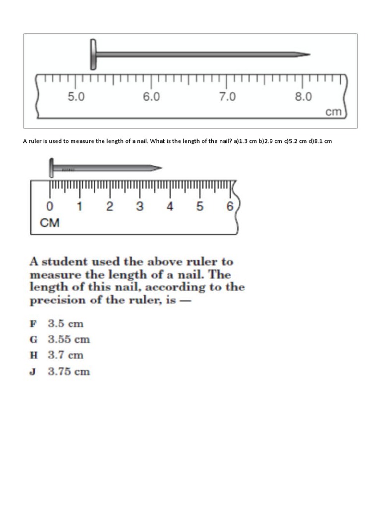Measuring Length with a Ruler | PDF | Insects | Meat