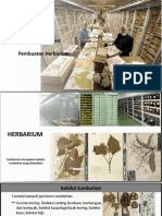 Praktikum Pembuatan Herbarium