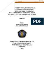 Pengaruh Penambahan Ekstrak DAUN KEMANGI (Ocimum Sanctum) Dalam Pengencer Terhadap Kualitas Semen Kambing Boer Selama Penyimpanan Suhu Ruang