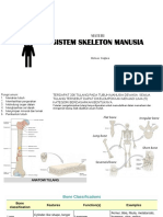 Sistem Skeleton Manusia