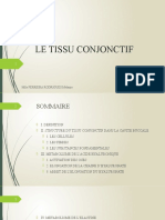 Le Tissu Conjonctif