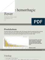 Dengue Hemoraggic Fever