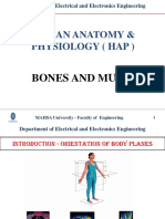 Unit 6 - Bones and Muscle