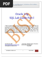 Download Oracle11g SQL Lab Guide by Amit Sharma SN62704288 doc pdf