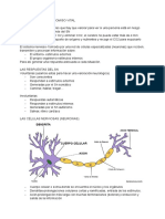 Los signos vitales del SN