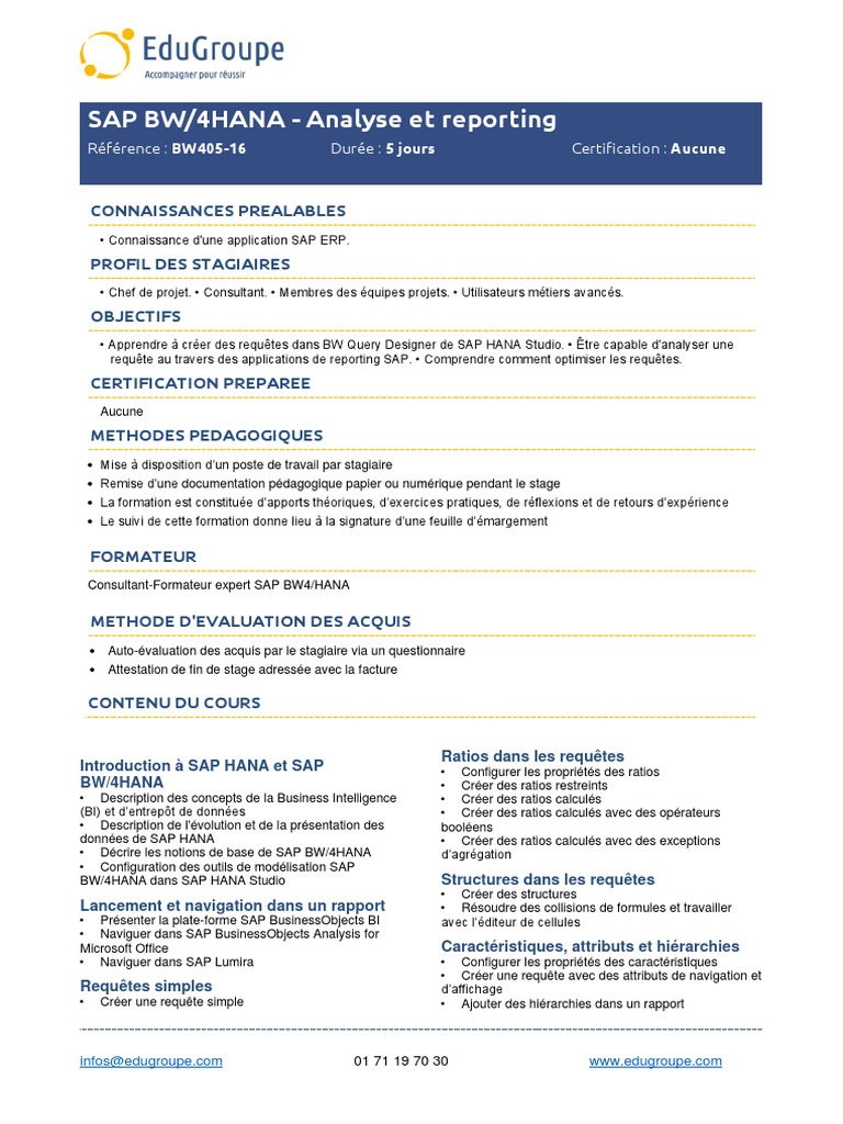 Formation SAP BW/4HANA : Analyse et Reporting | PDF | Gestion ...