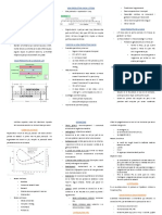 Resum Llet Examen 1