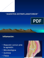 Agentes antiinflamatorios no esteroideos (AINE): mecanismos de acción y usos en equinos