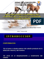 Conformacion y Claudicaciones