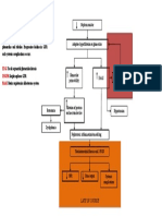 Path o Physiology