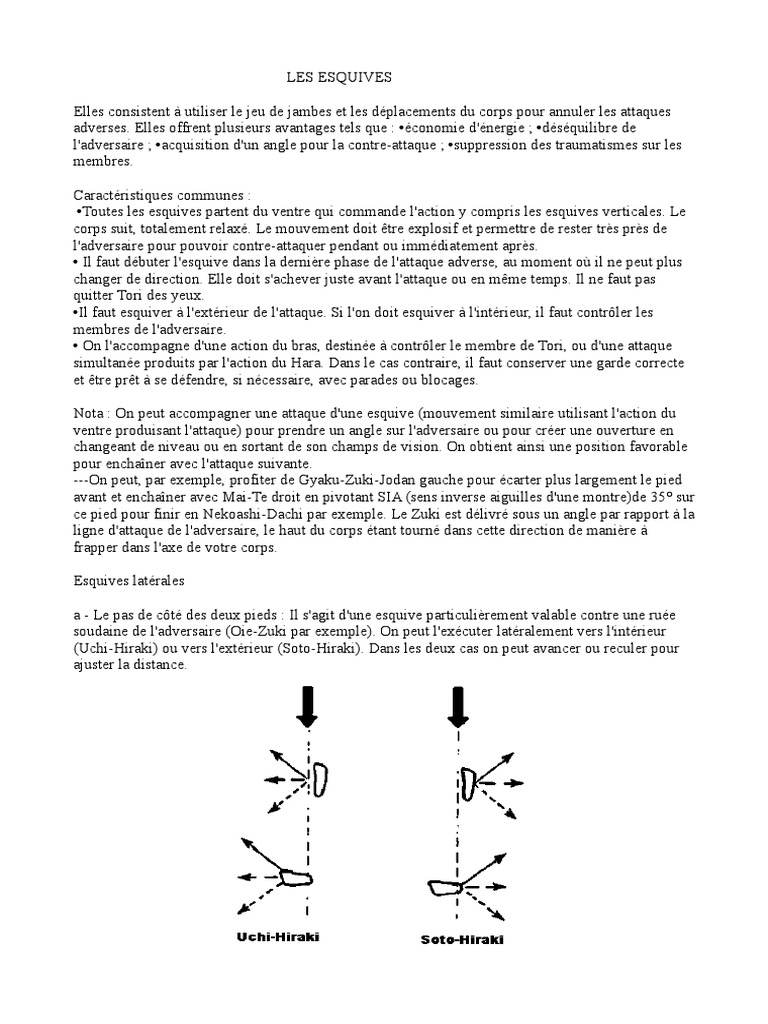 Techniques d'Esquive en Combat | PDF