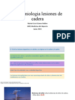 Epidemiologia Lesiones de Cadera