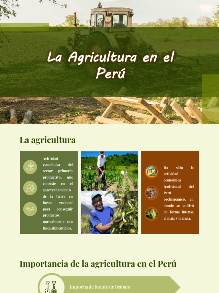 Agricultura En El Perú Pdf Agricultura Perú