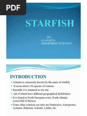 STARFISH 