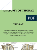 Anatomy of Thorax