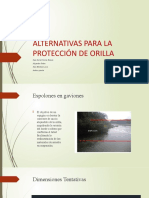 Alternativas para La Protección de Orilla